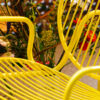 Silla Heliconia